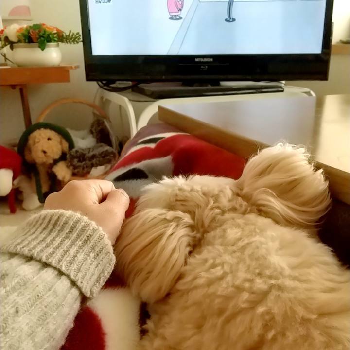 Da6db9c1 91ae 4d5d 8797 67484fabe75d 1583562890306