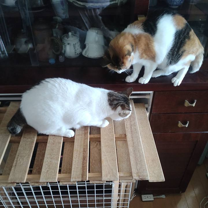 Da6df7fe 6aa1 46b5 8b03 d5f85f92a31c 1758340331754