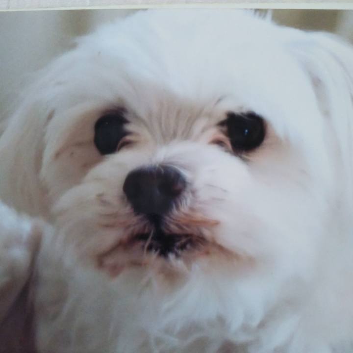 Da6e1439 0219 451c 8fdd 6308a8070f73 1539925037341