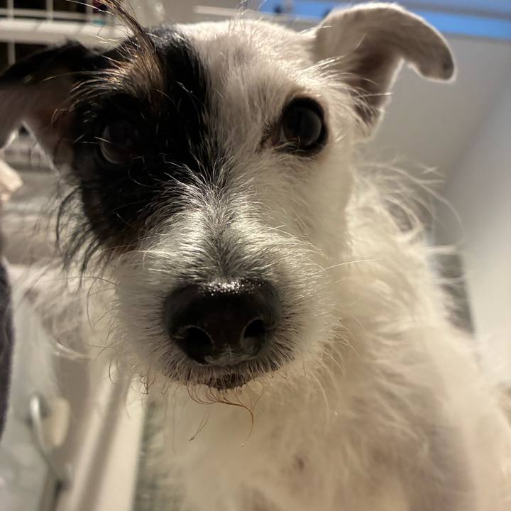 Da6e1578 4271 4191 b0de 814ed870b489 1765870090906