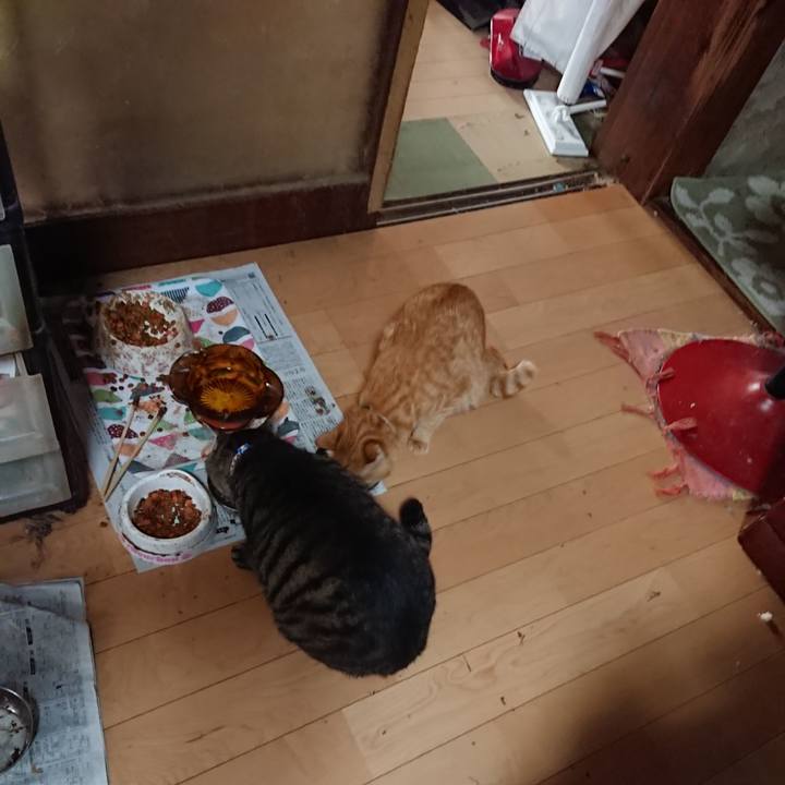 Da6e211d 67e8 49b9 a983 ba9975819bd7 1657486616356