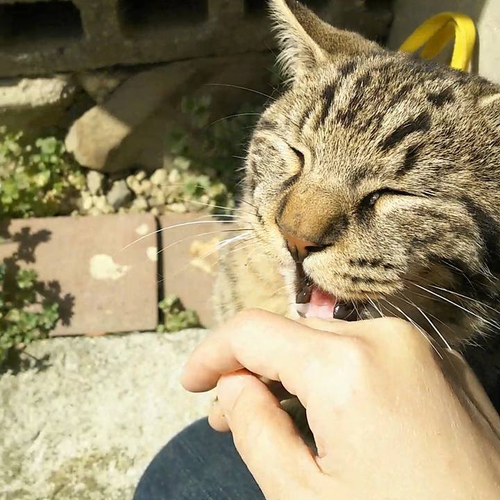 Da6e4f78 8ca9 4584 ab84 ea945dca3a8d 1553403536193