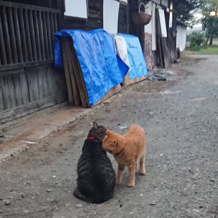 Da6e526b bacc 40cf 8fc3 d9d8a10c7d7c 1663189244884