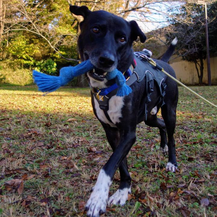 Da6e575a abbb 4e60 af26 155166c33438 1638492087812