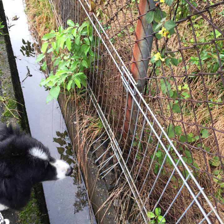 Da6eb33d 94b6 4136 a350 600714257cd2 1567553988354