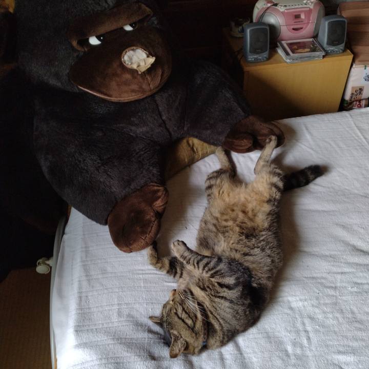 Da6ebe97 b6b5 493f bada 391f89da6b49 1690195596748