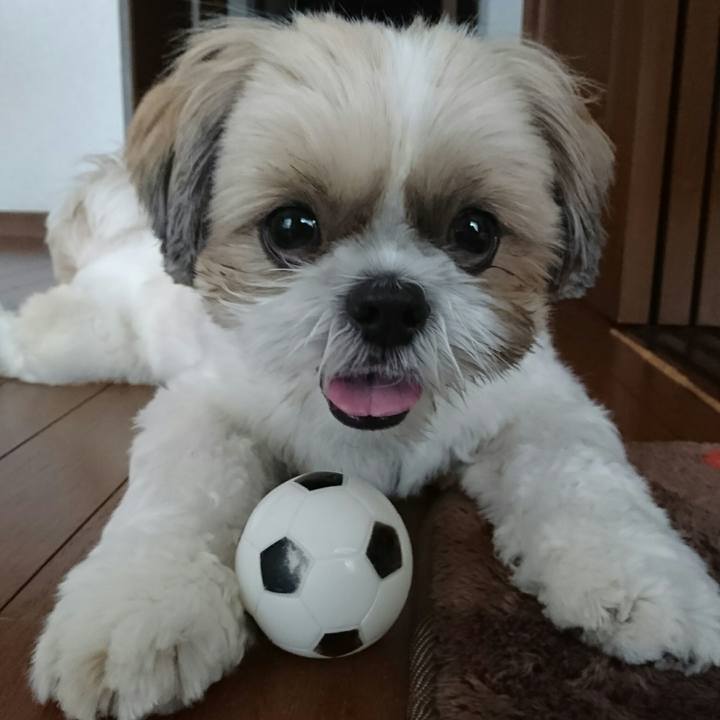 Da6edf1b 3c5a 4168 8b52 de6efc23abbe 1541738888944