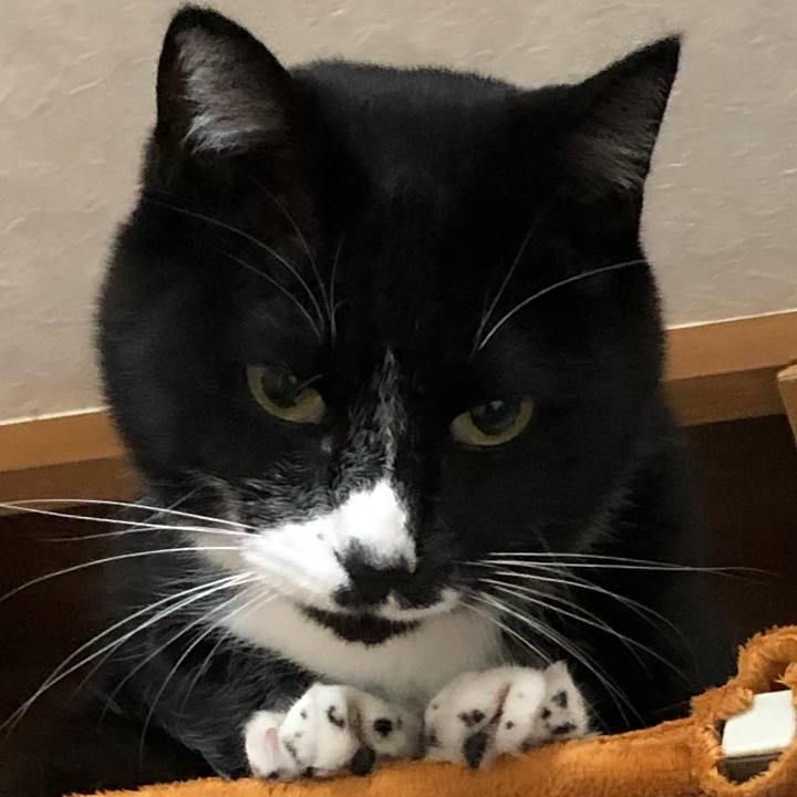 Da6f2e47 af18 4fd6 ba7a 6103b717e271 1635910514836