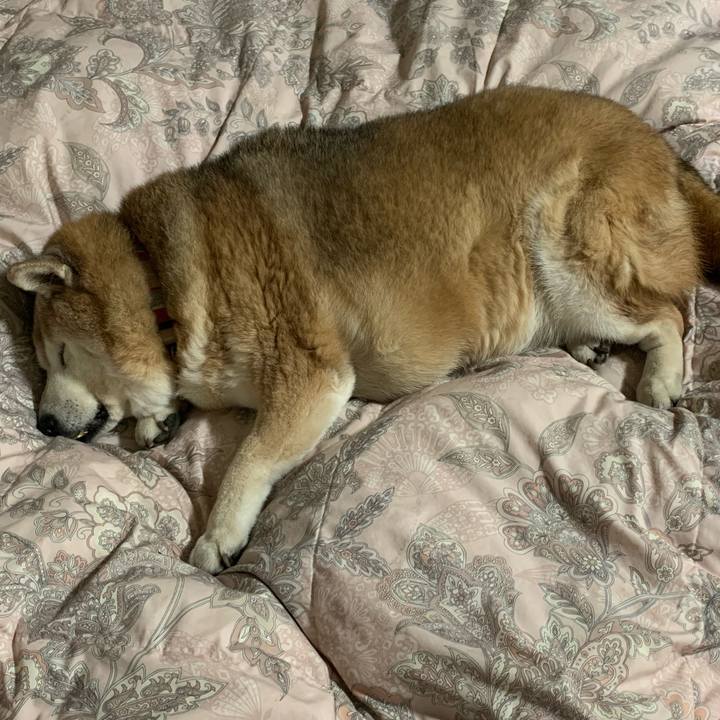 Da6f3076 284e 4463 b5d9 696d3376f213 1646696771689