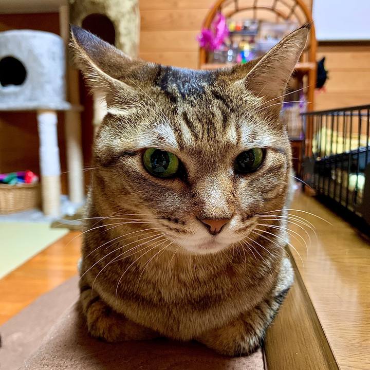 Da6f324a 33a1 4f7e b118 0489d95f8454 1576243523242