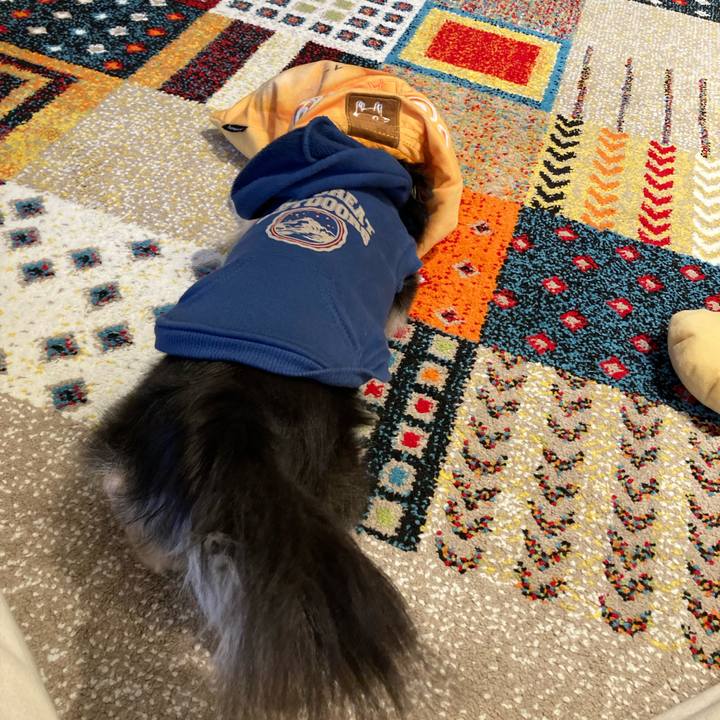 Da6f9738 aa08 407f aaf3 90ae41fb3c1a 1708693750988