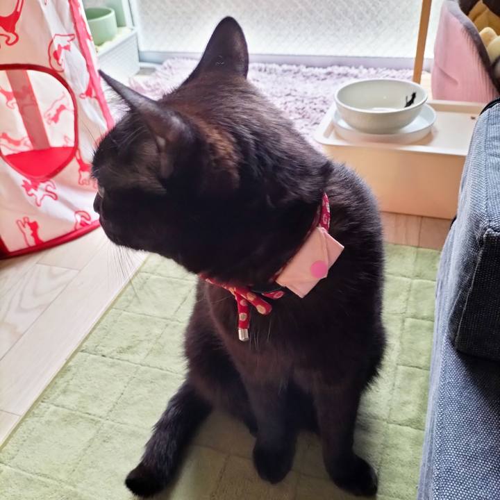 Da6fb66a 910b 4ce2 adda 23e147c47ed6 1679523331188