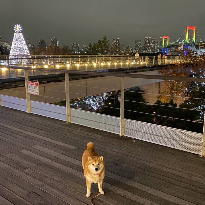 Da6fc746 5df6 4ca3 9933 874f5513cc8f 1576244829596