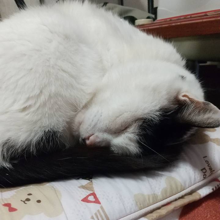 Da701c9c 4bf6 494f a383 2d5c8239e59a 1654766885718