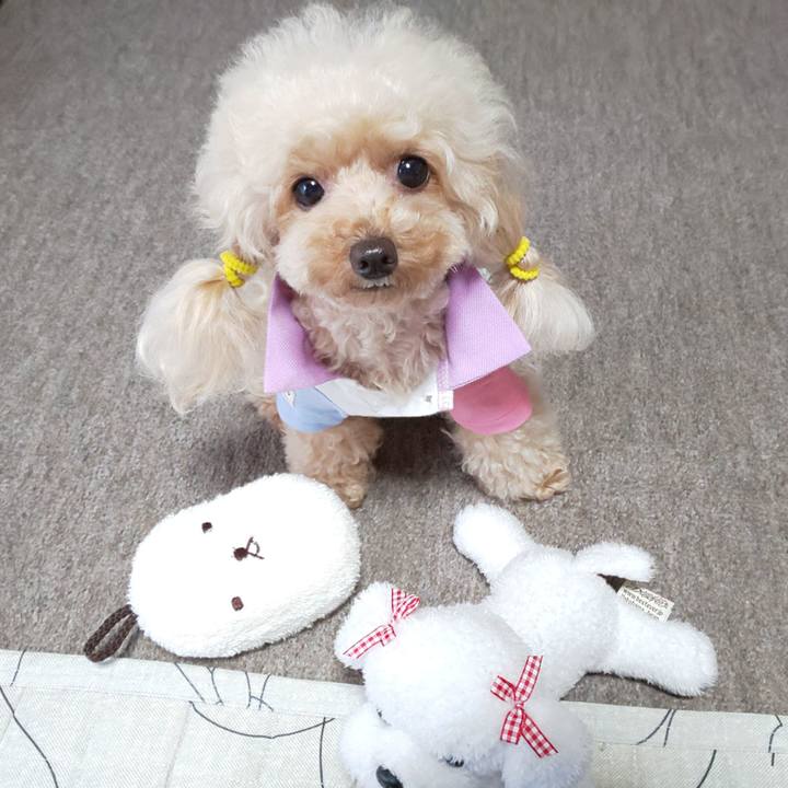 Da704651 adfb 44f4 bb0a 387e8c3b861e 1567220553558