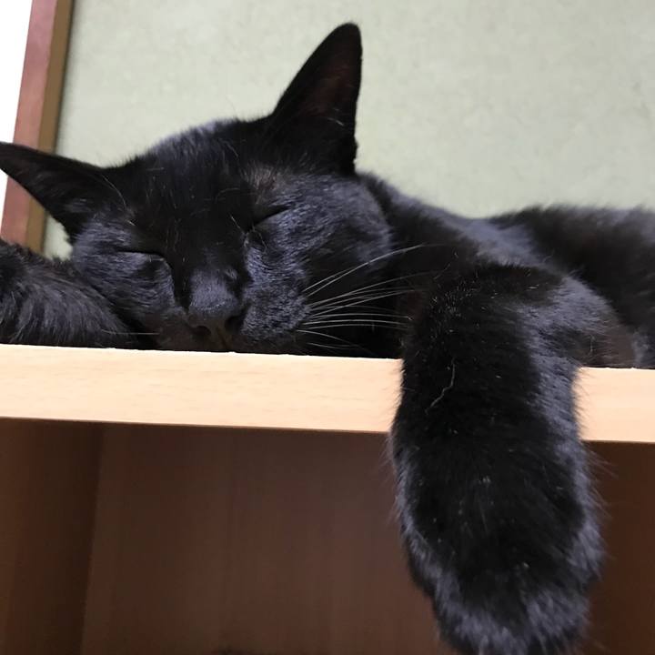 Da709c54 0ea1 456d 8b8c 565eb2f6b35f 1532649134984