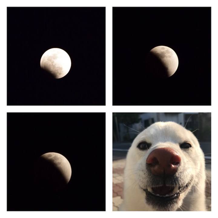 Da70a04e 3edb 41e4 90f5 d2805c274187 1517409168746