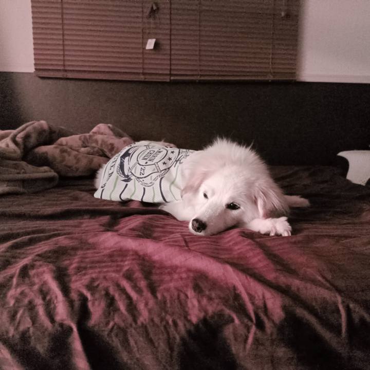 Da70ec62 6eee 4dd3 9a21 d0d42a58ed7e 1756670410215