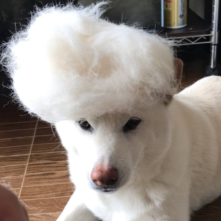 Da710022 a8dd 4c5b 968d ef951b4db4c5 1586669353038