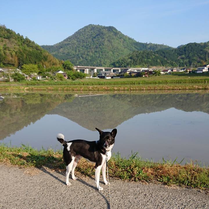 Da710741 8ebb 40e4 a3ce 123cf836399a 1557444880570