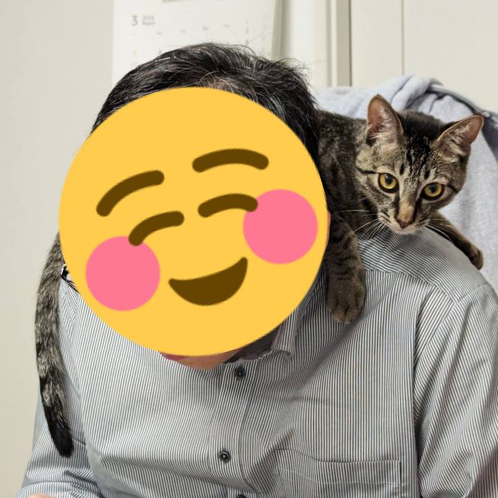 Da713113 5d34 4d1b a283 682a6c0e68cf 1709181860084