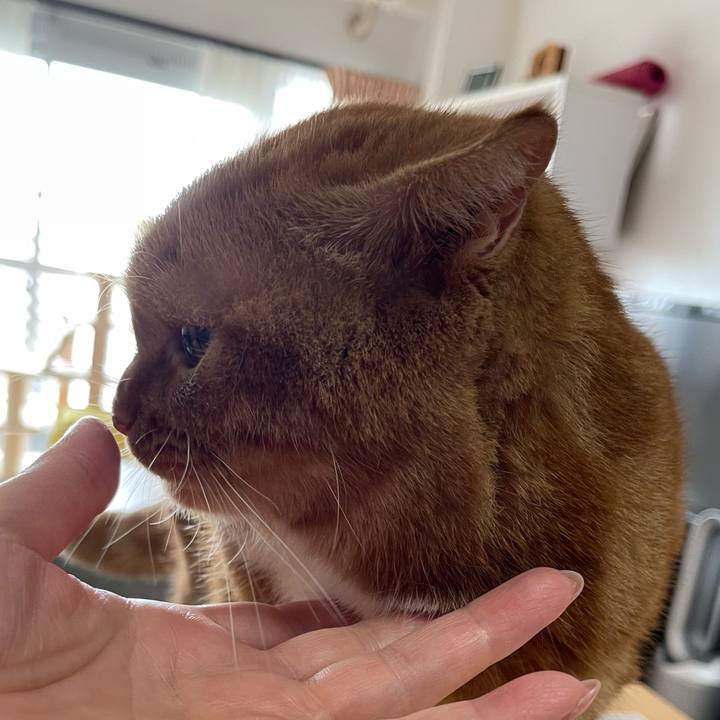 Da715567 6367 4990 a27e 76b09e8b5551 1658112034342