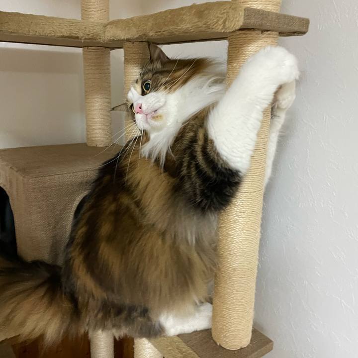 Da7162e0 4ea2 4ee0 9427 2bcb9a25cca0 1709150142819