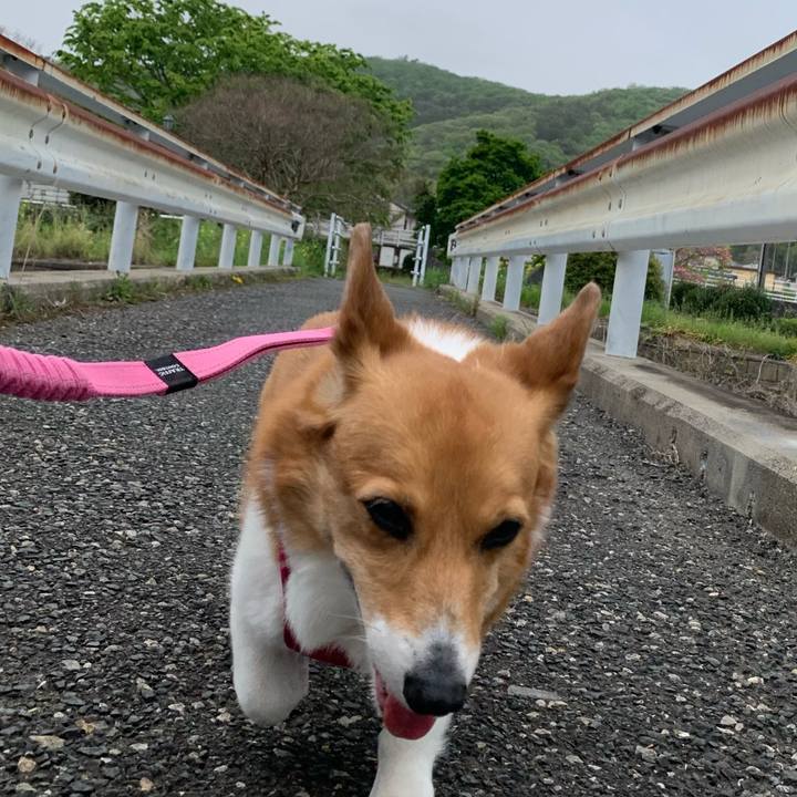 Da7166d3 ac74 4a33 acc5 cbe7c2873949 1713407485723