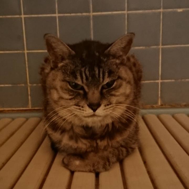 Da7183b1 f673 49fe b790 bdc5836ac19f 1572428821274