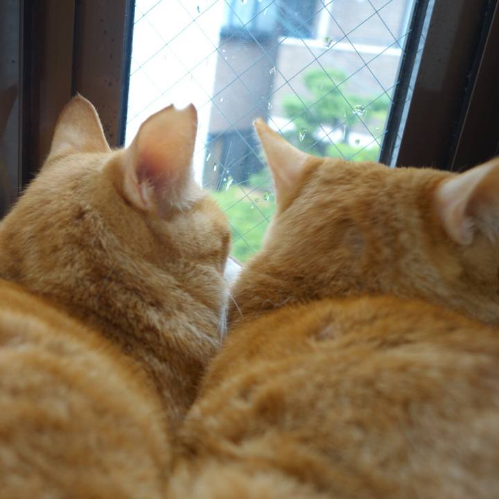 Da7191a4 fcb7 47de 98e1 9ce713e3b9ae 1588054928693