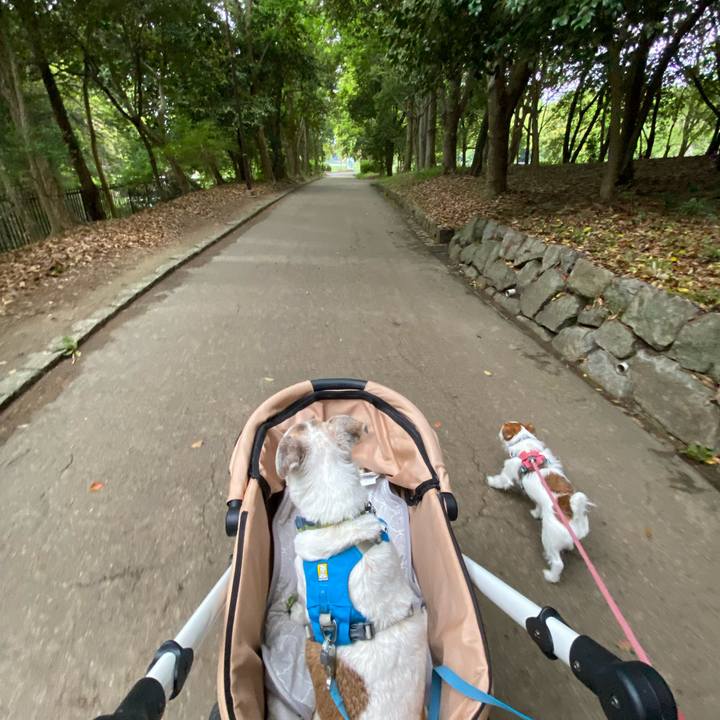 Da71b4c8 d356 4848 8ba8 143a2a2d646f 1713771188867