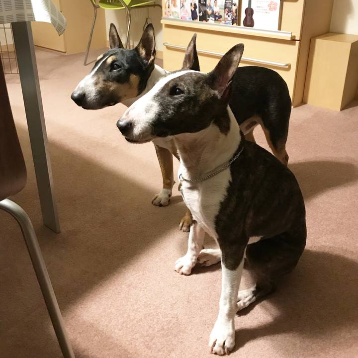 Da71e2d5 b486 4e50 a31e bfeed007e044 1516109314368