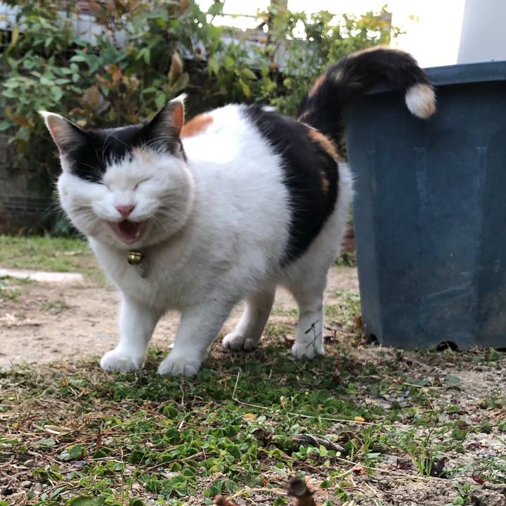 Da71eac6 2f4a 406c 8afe 2b8944b4bbb2 1608157891935