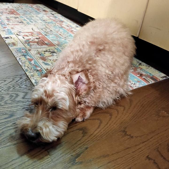 Da71ec22 4836 4c9b 952c 2da58b36c701 1591650916380