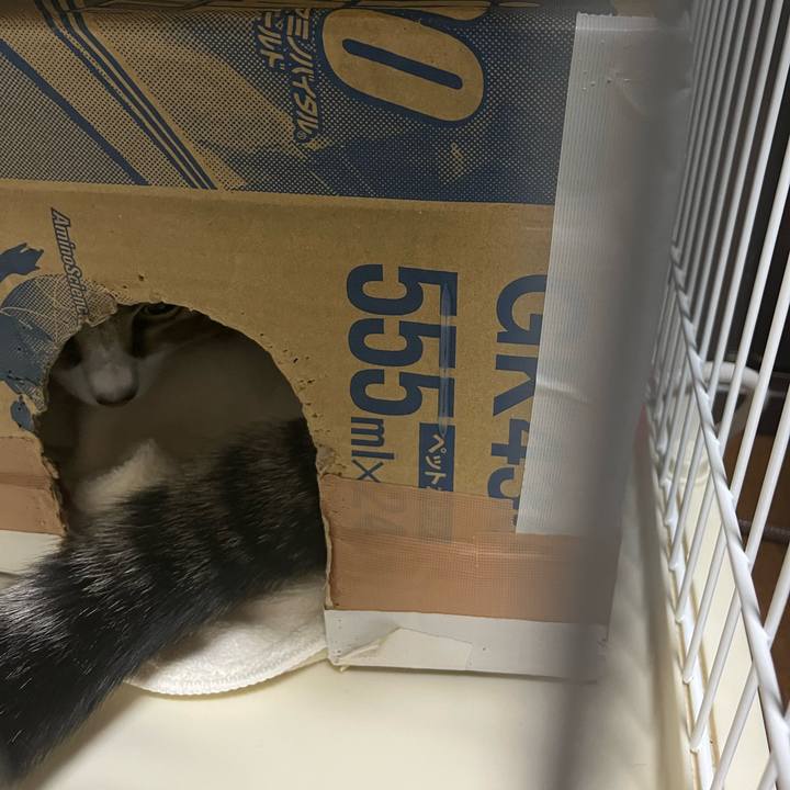 Da7210b3 2449 486d 8f04 937c29e05cc7 1767522925663