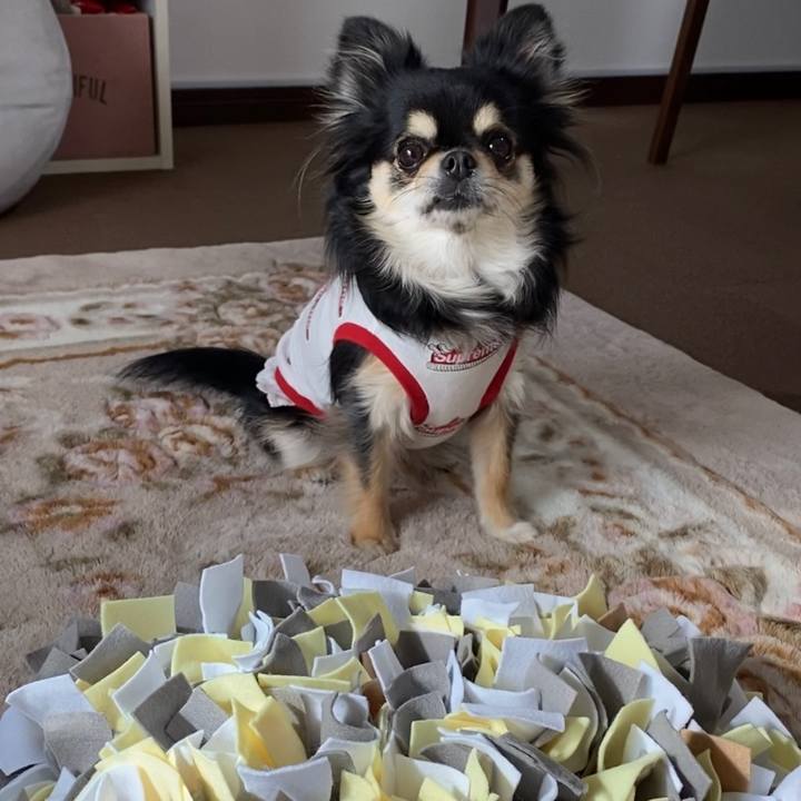 Da721cf1 bb60 41ed b4d5 585a744f3979 1642684834169