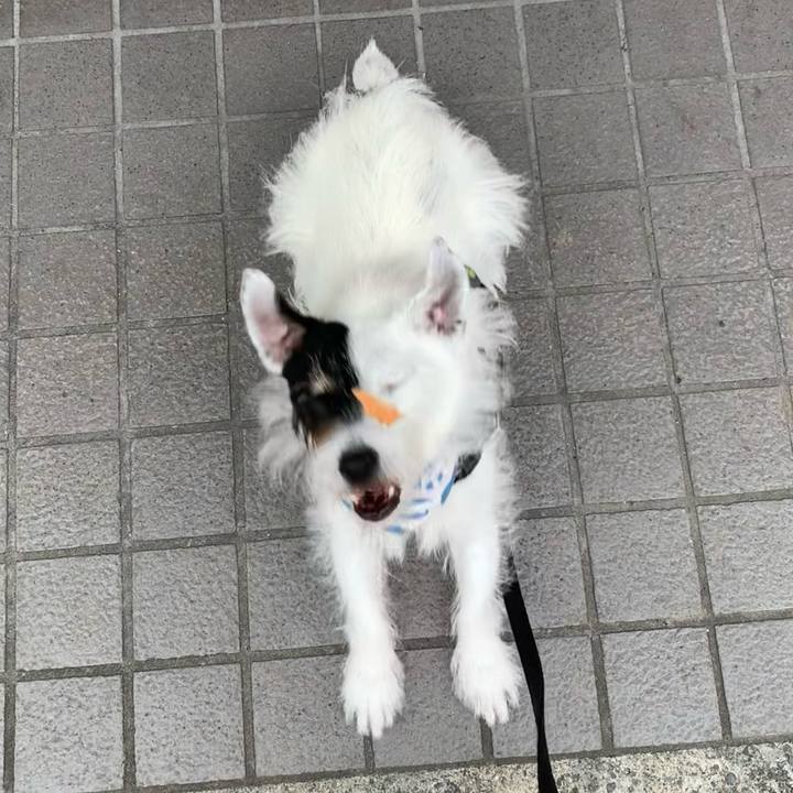 Da7256aa efe8 4d1c b5ce 310ee73bf210 1724194743316