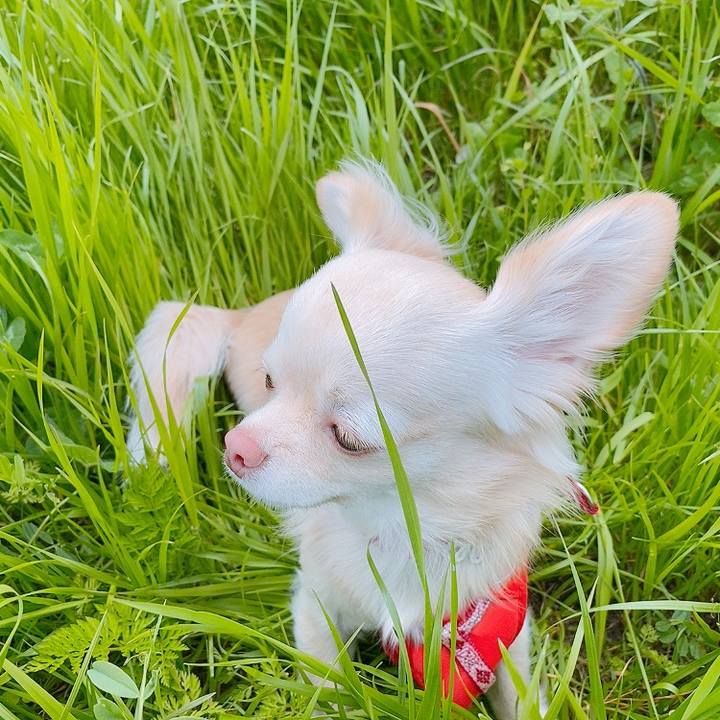 Da72ae2d 7153 4c29 a3f9 6738a628a11b 1618298515624