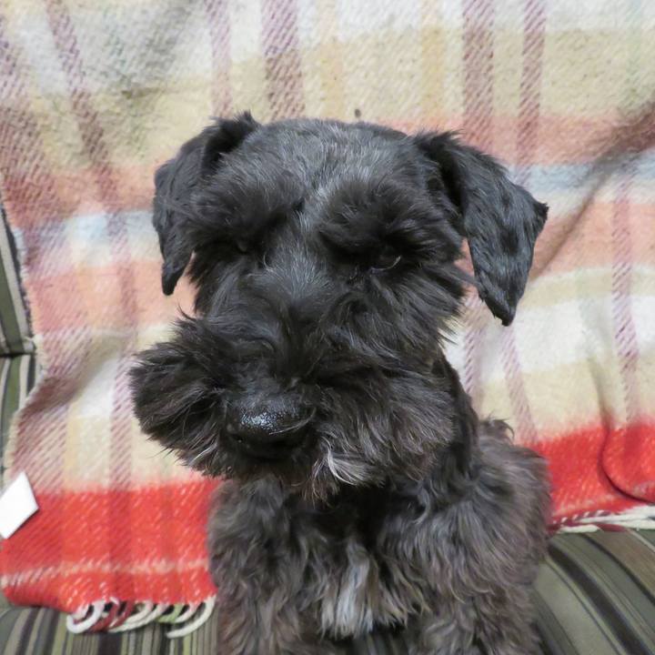 Da72cf4e fbf5 43b8 9a59 3bf575037600 1612770033859