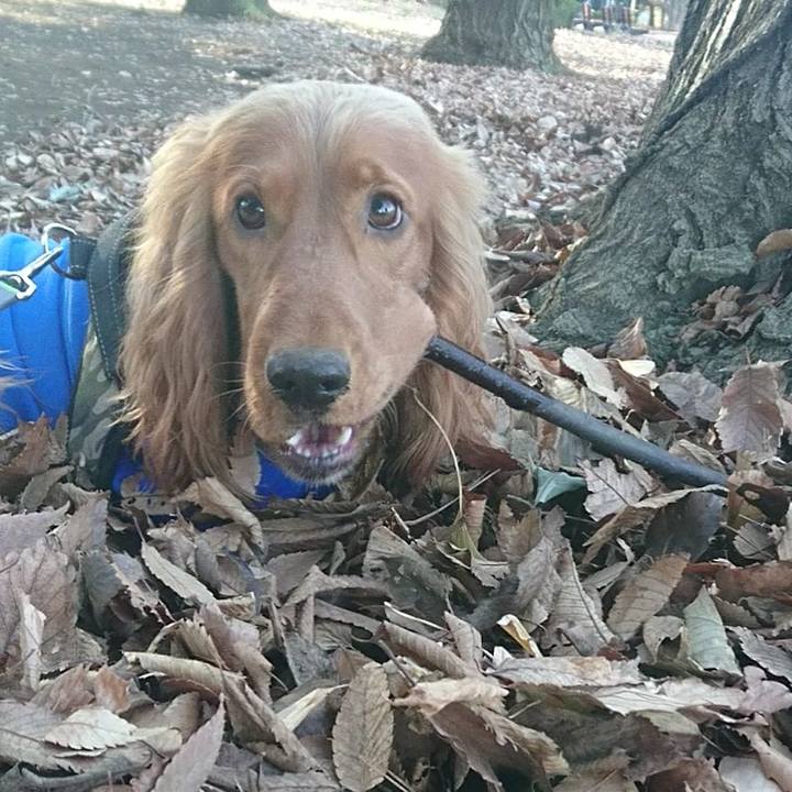 Da72d2c4 a1ff 4306 8c1f 008e8dbe7430 1515377788248