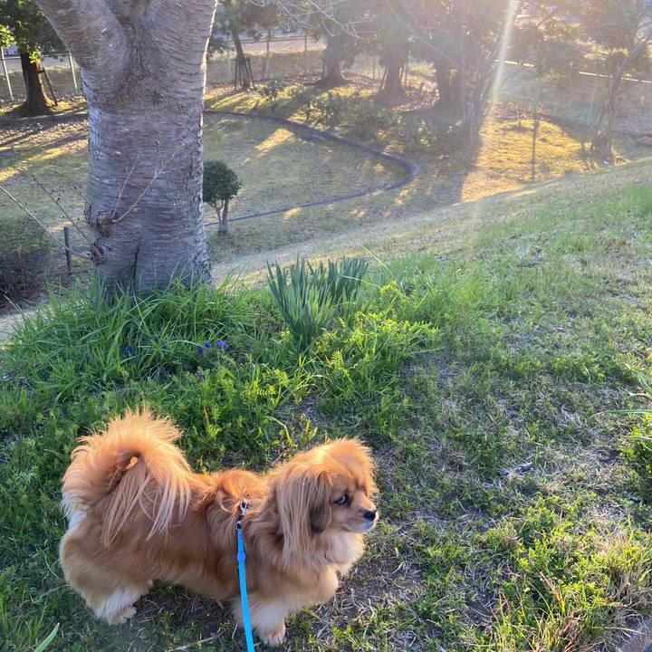 Da72dff7 69a6 426d 86a1 afed9806fa07 1585001899449