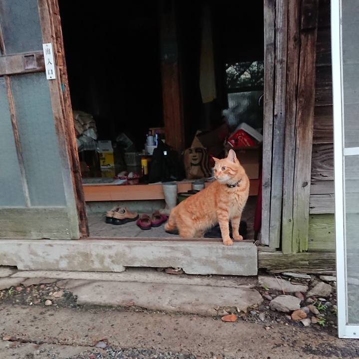 Da72fb5e dc45 47cc 8c29 a3794466f6be 1661893643487