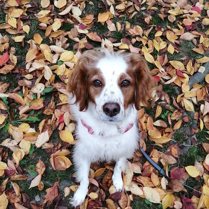 Da73039d 4ff8 466a b04b a56be599a510 1574422814709