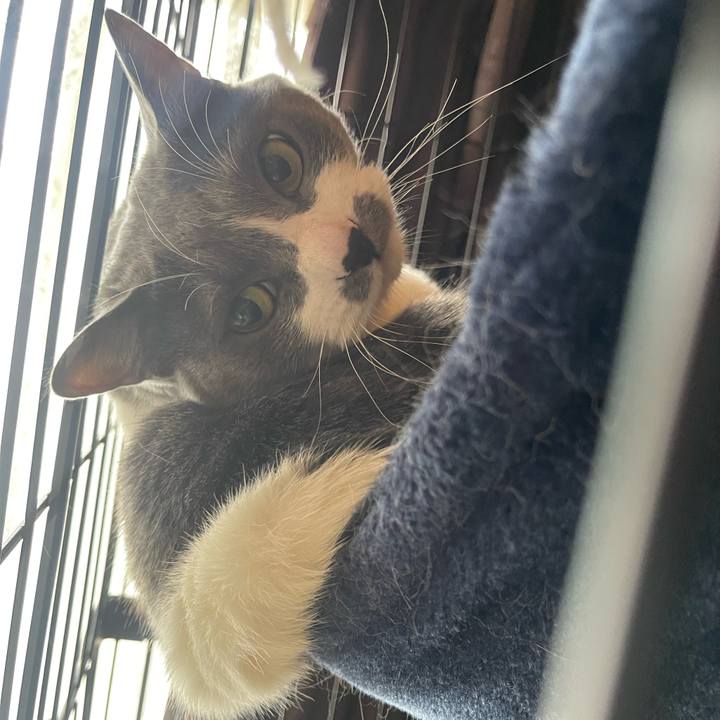 Da73098f 1f00 447d a79f 4dddcf4b7784 1745531655713