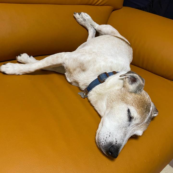 Da730e6a 2bdb 438f 89bc ec8b6375b36c 1620999384988