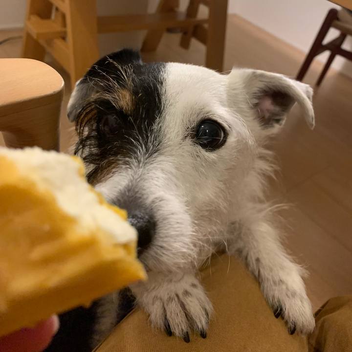 Da73515b 1279 47c8 8072 344e9c826b34 1682682278652