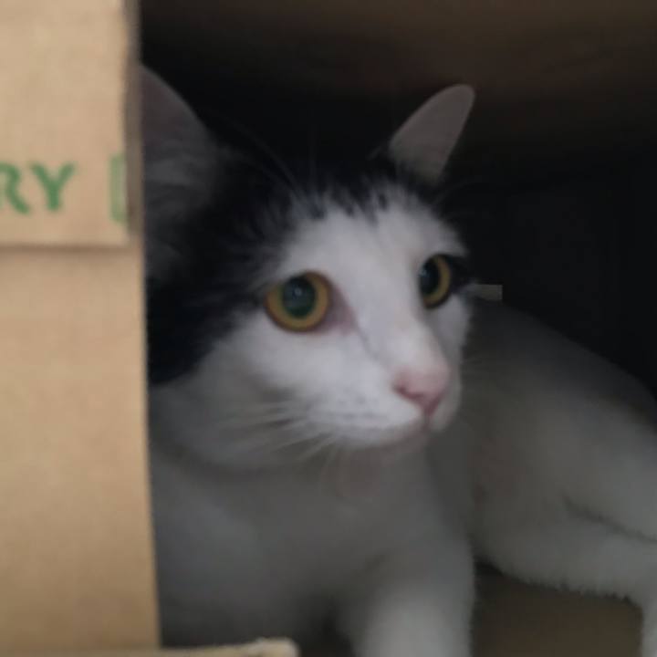 Da736b09 30cb 461c 88d0 1f8dd853ae99 1540183246257