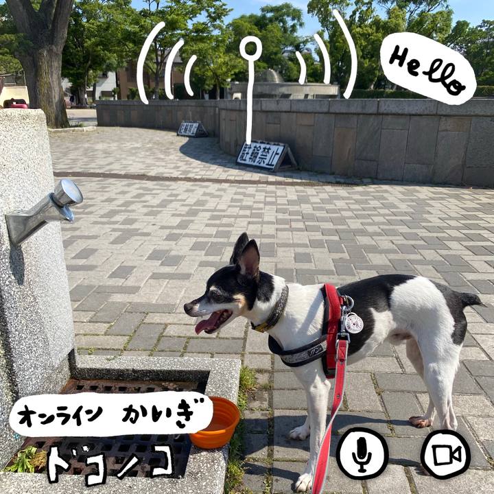 Da736cbe fc26 4515 87ea f2675de25b19 1590804091434