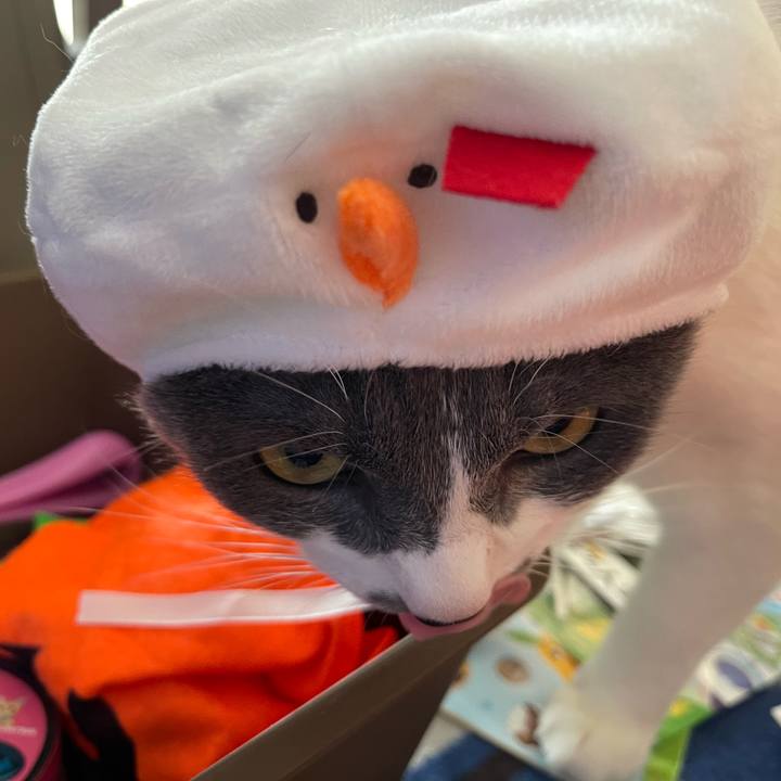 Da736f4d 3454 44e9 9e98 905991a9145b 1664072612766