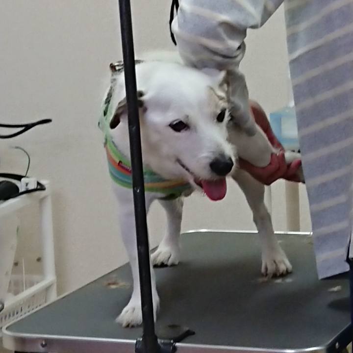 Da738d32 ef53 44af 8ded 74c52143c130 1570576005125